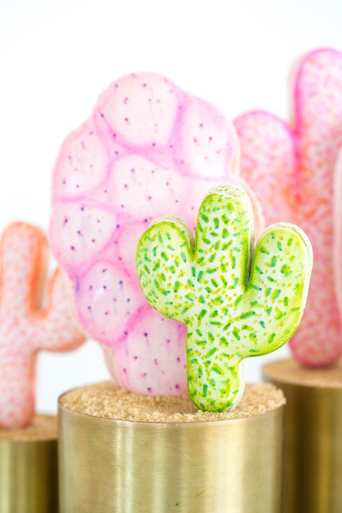 sweetoothgirl: POTTED PINK CACTUS MACARONS