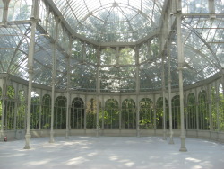 thedame:  planstobesurprised:  Oh my gosh.  This is in Madrid, I went there last month in April, its enormous and the birds get inside and all you can hear is twittering, I would love to throw a ball here. I mean like a costume ball, with dancing and