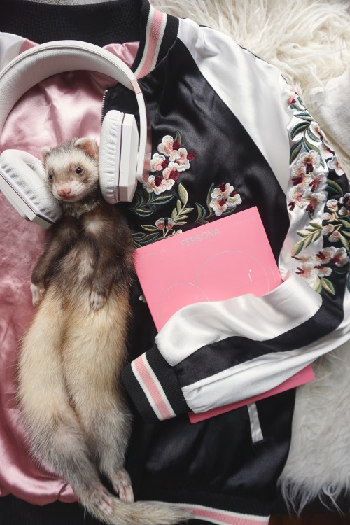 the-book-ferret:“Perhaps the reason this night looks so beautiful Is not because of these star
