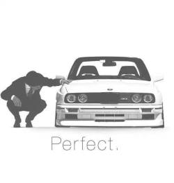 carfanatik:  perfect