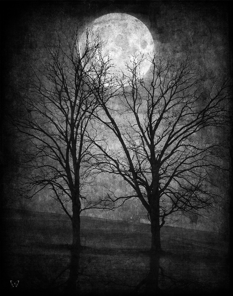whitesoulblackheart:  Illustration by Brenda Clarke (Please leave credit … Ƹ̴Ӂ̴Ʒ)