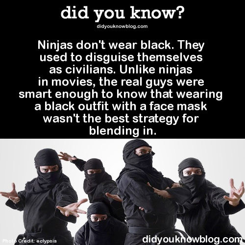 did-you-kno:  Ninjas don’t wear black. They used to disguise themselves as civilians.