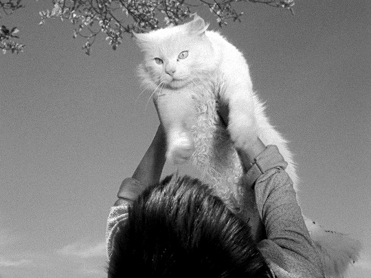 edgarwight:Couro de Gato (“Cat Skin”) 1962, direção por Joaquim Pedro de Andrade
