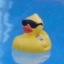 roggerkayrealz