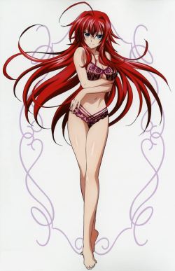 HighSchool DxD New Visual Collection