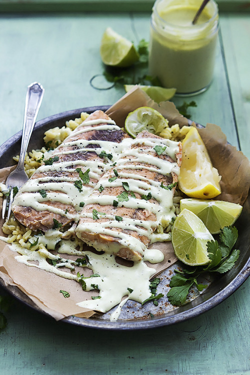 angelkin-food-cake:  Baked Salmon with Avocado Cream Sauce -4 small salmon fillets or 2 large fillets (skin removed) -½ lemon -salt and pepper to taste -1 large ripe avocado -¼ cup chopped cilantro -1 Tbsp. fresh lime juice -1 tsp. garlic powder -1