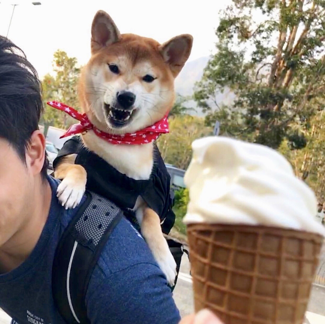 woof?