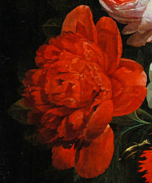 clara–lux:MIGNON, Abraham (1640–1679) Garland of Flowers, detailsc. 1675Oil on canvas, 102.7 x 84.5 