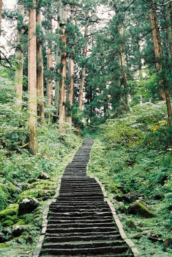 pokec0re:  Lined with Japan Cedar by Hyougushi on Flickr. 