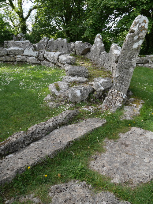 Din Lligwy Romano-Celtic Farming Settlement, Anglesey,  North Wales,  31.5.15. 