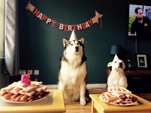 poetryandstones:  awwww-cute:  My boys 5th birthday today. He had his buddy over for some cake  Oh my heck 