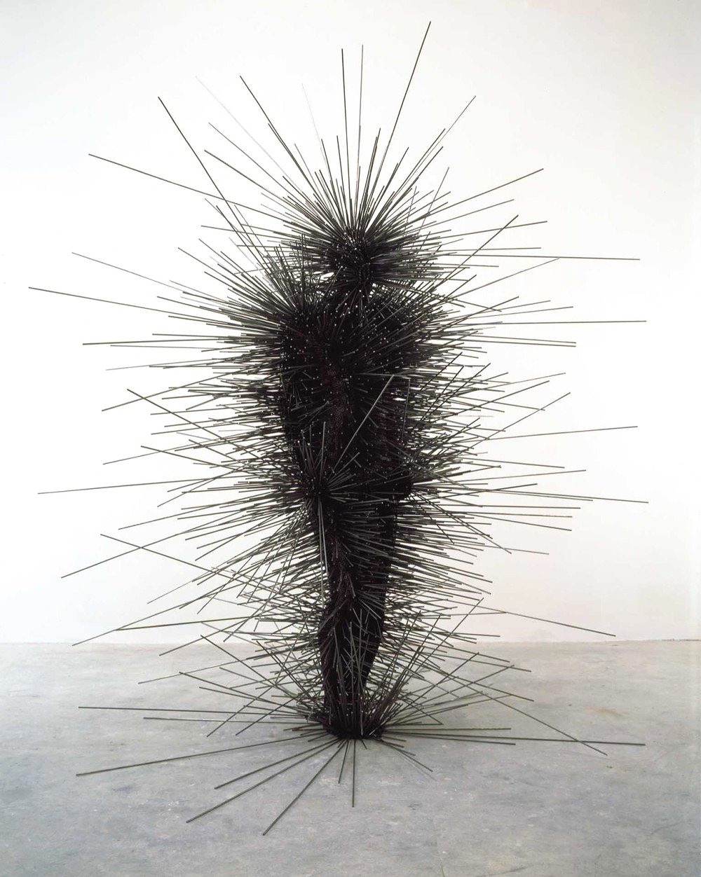 svenson777:  ANTONY GORMLEY “Capacitor”   Spikes.