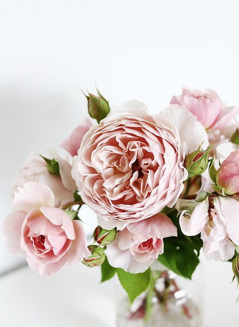 blogjadore:  ♥♥♥ 