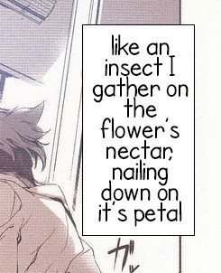 When hentai gets all poetic..