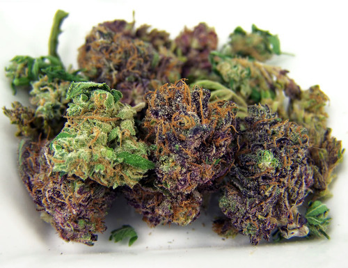 stonified:  Purp in there 