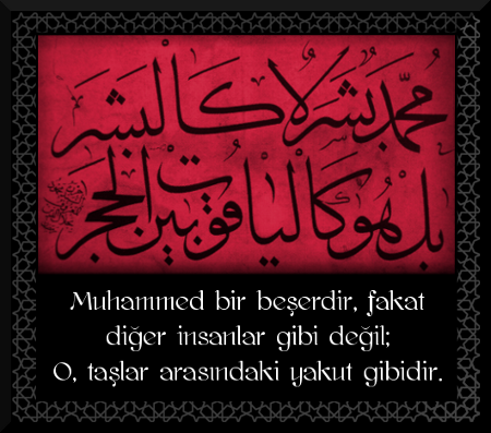 Allah’ım, bizi, O'na -aleyhissalatuvesselam- layık ümmet eyle, O'nun yolunda ve sünn