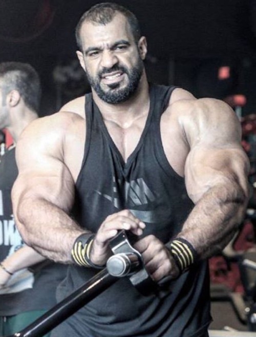 pjsesq:Hadi Alkhayat Real. Muscle. Man. Beard. That nose.