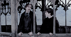The Ones Who Love Us Never Really Leave Us, You Can Always Find Them In Here