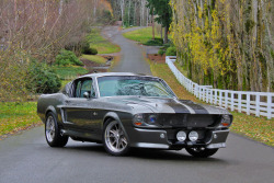 Ford Mustangs