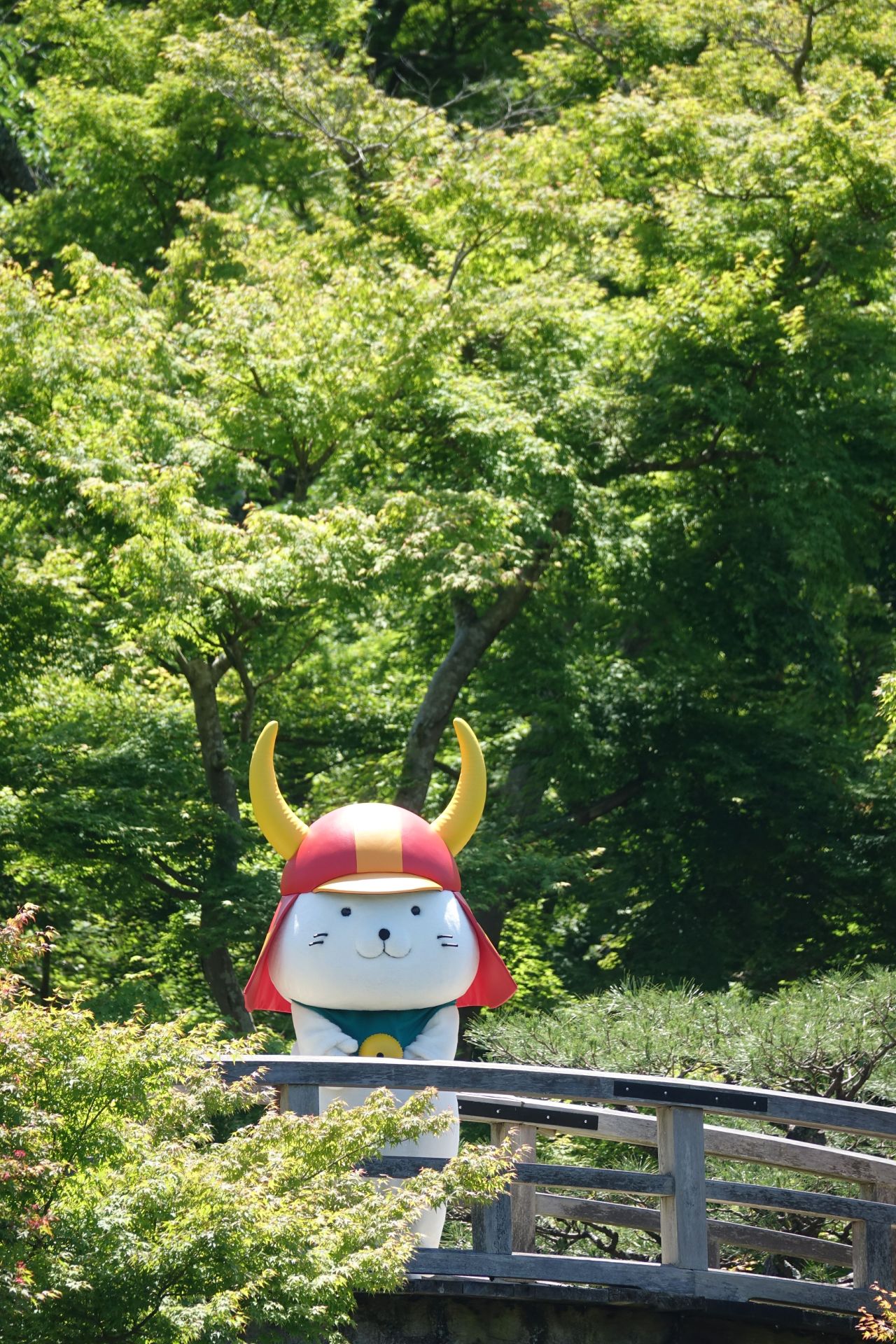 Japanese Mascot Photograph Yuruchara Jp ゆるキャラ ひこにゃん 滋賀県彦根市 年5月下旬撮影