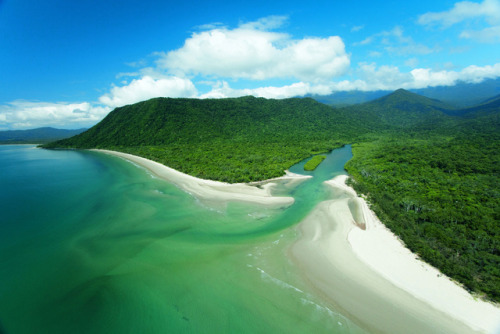 oceaniatropics: cape tribulation, queensland, australia