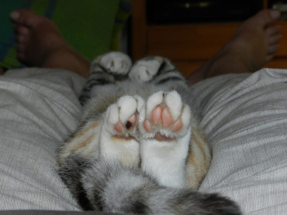 (via LizzieL)