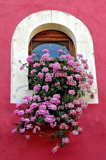 thelittlebosnian:Mostar, Bosnia and Herzegovina 
