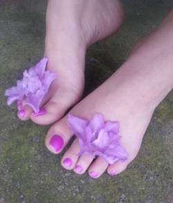 ddammit-annie:  More purple flowers 🌸