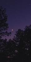 queenmoriarty:oh to be in love under the moon 🌙 