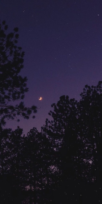 queenmoriarty:oh to be in love under the moon 🌙 