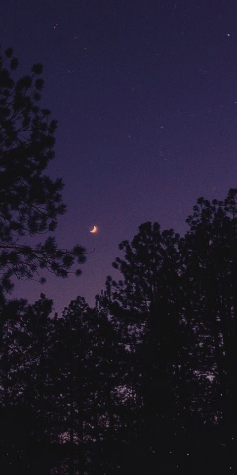 queenmoriarty:oh to be in love under the moon 🌙 