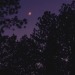 queenmoriarty:oh to be in love under the moon 🌙 