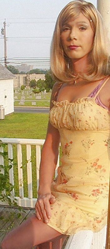 Tranny Heaven