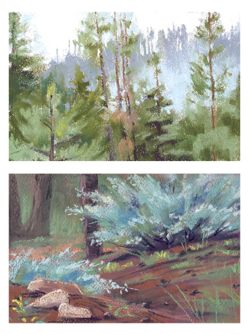 A couple weeks ago I went up to the Sierra Nevada Field Campus to take another pastel class with Bil