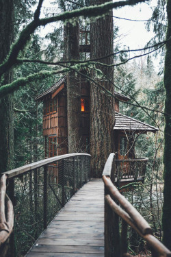 banshy:  TreeHouse Point by Leo Thomas