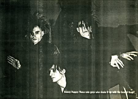 Porn photo Skinny Puppy