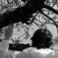 klymene-blog1
