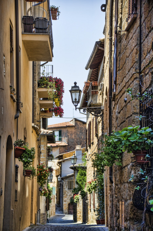 allthingseurope:Orvieto, Italy (by Jelena)