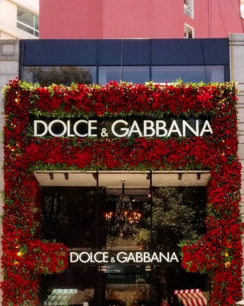 Polanco en Flores 2018. #architecture #retailarchitecture #flowers #FYJA2018 (at Dolce &amp; Gabbana