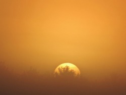 Geopsych: Sunrise Through The Mist.