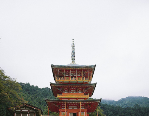 fuckyeahjapanandkorea:  熊野古道 #19 by Benjyamin 