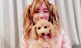 mochichan00:  Two puppies
