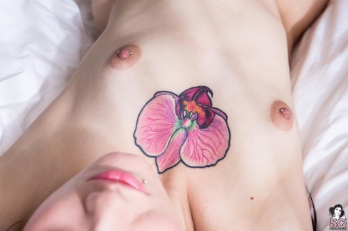 thedarksideofgruff:  Tourniquette