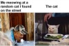 Porn photo saddest-cat-hours: