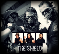 wrestling-gallery:  WWE:The Shield 