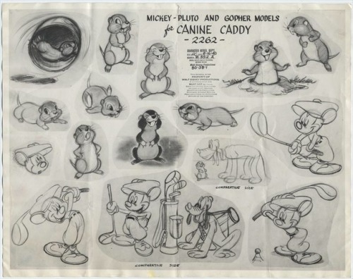 Ten model sheets of various cartoon rodents, from the stylized to the semi-realistic.
