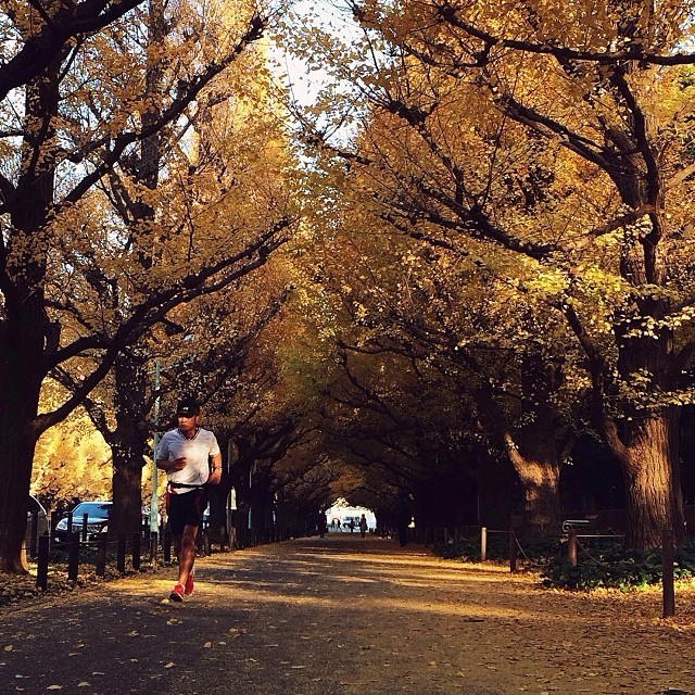 instagram:  Local Lens: Finding Peace in Tokyo with @hirozzzz  In this series, local