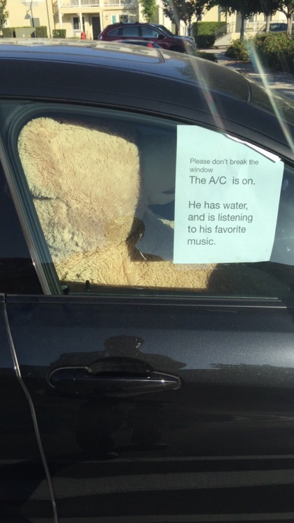 asian: weeddick13:  asian:  Took my bear out on a drive today  whats his name?  Justin Biebear 