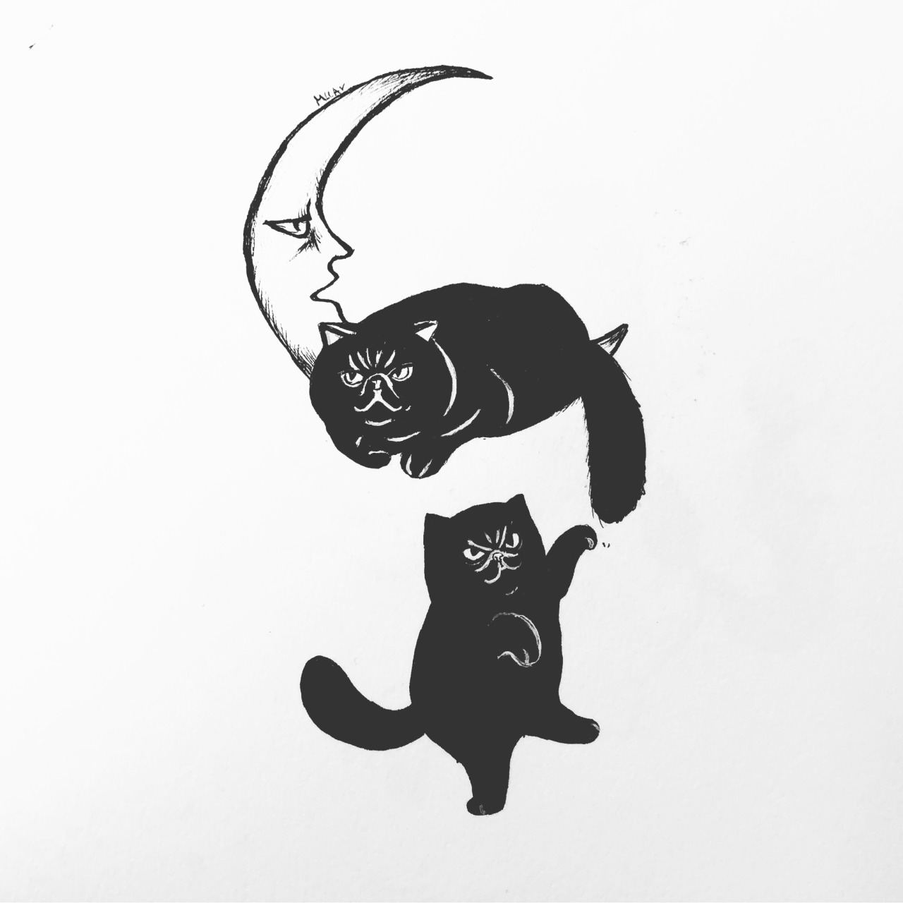 Kitty Art Tumblr Kitty Art Tumblr