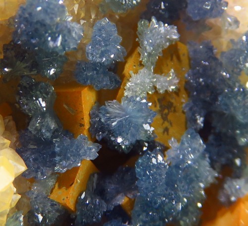 Scorodite on Fluorite - Clara Mine, Wolfach, Black Forest, Baden-Württemberg, Germany